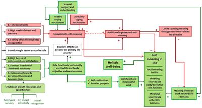 A pathway to greater meaning in life and well-being for senior executives beset by anti-meaning